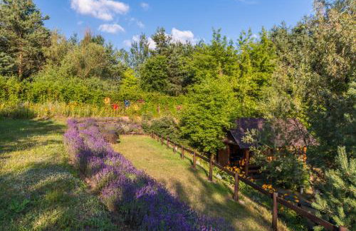 Siedlisko Janopole - Foto 34