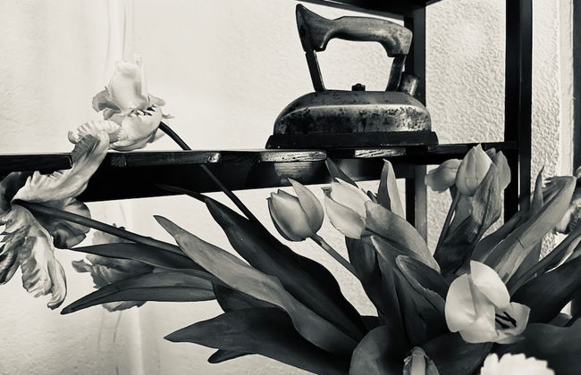 Ferienhaus Oppach - Foto 22