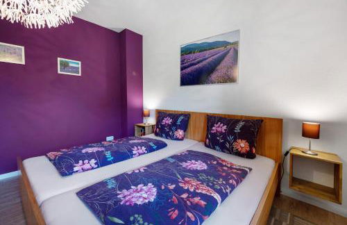 Fewo Birkenallee - Lavendel - Photo 13