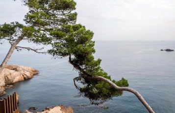 BYPILLOW Cap Sa Sal - Foto 1