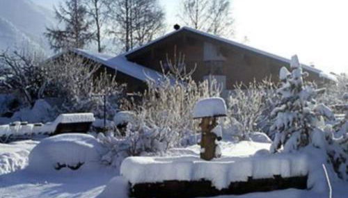 Bosch Hermann - Foto 2