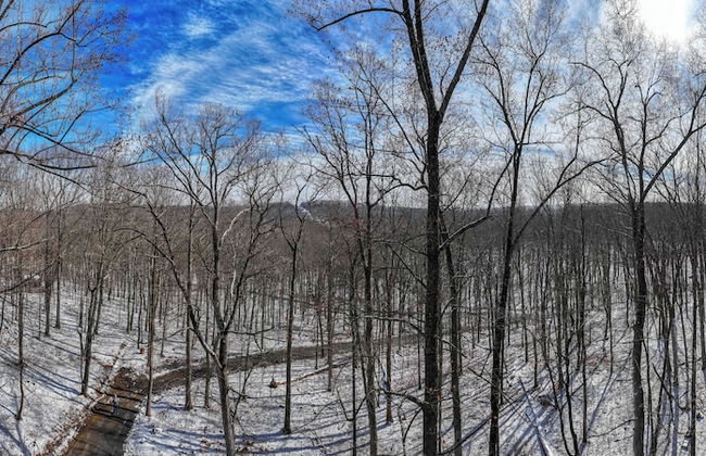 Sqyrls Nest - 3BR Retreat With a Hot Tub - Foto 54