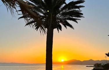 Finca Thiago - Foto 63