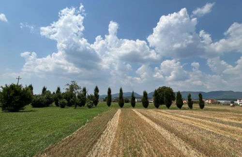 Corte Monticello - Foto 24