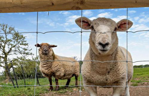 2 Bed in Stoke-on-trent oc-94790 - Foto 23