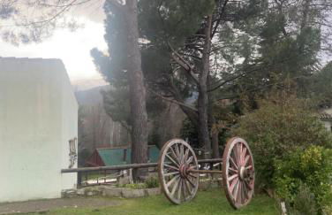 Finca 13 Ramas - Photo 15