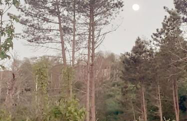 Refúgio d’Aldeia da Serra - Foto 29