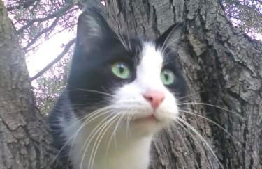 Korfes Apartments - Foto 13