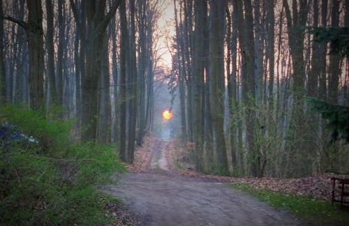 Altes Forsthaus Garzau - Foto 31