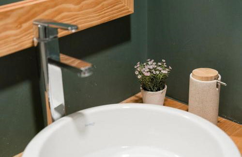 Casa do Pomar - Manor House - Foto 64