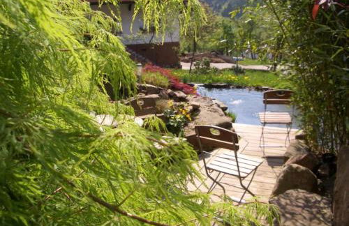 Wohnung mit Terasse im Schwarzwald - Foto 17