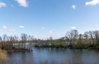 La maison de Gabin et Augustin - Photo 22