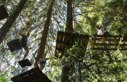 La Petite Maison Cosy - Foto 24