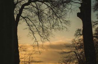 Apartment The Saltings by Interhome - Foto 48