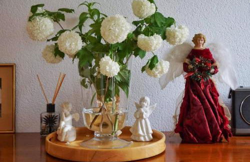 Cozy house with courtyard - Foto 27