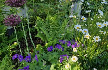 Happy Place Indu Style - Foto 34