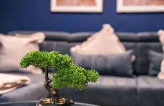 Mayfield House - Photo 7