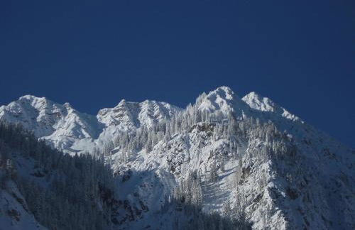 Holzhaus Besler - Foto 27