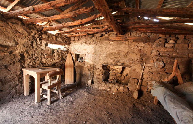 Joshua Tree Horseback Riding Tour - Photo 4