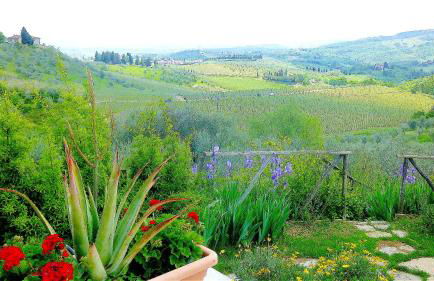 La Solaria - Foto 34