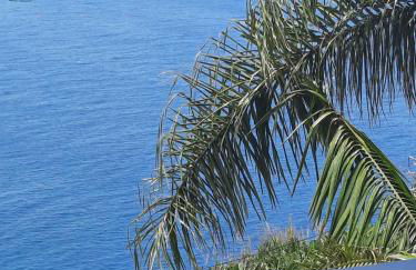 Zeza´s Sky - Photo 35