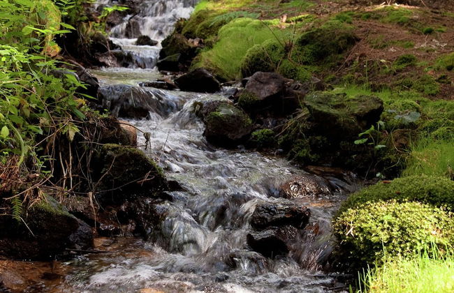 Ferienhaus in Bayern mit Waldblick - Photo 18