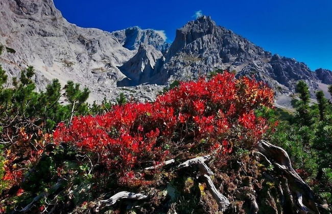 Apartment Dahoam - Foto 31