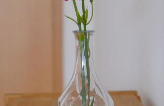 Ferienwohnungen Ilona Blick - Foto 34