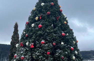 Ferienwohnung Traumwerk Titisee - Foto 30