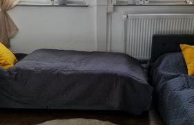 Brandenburgblick - Foto 14