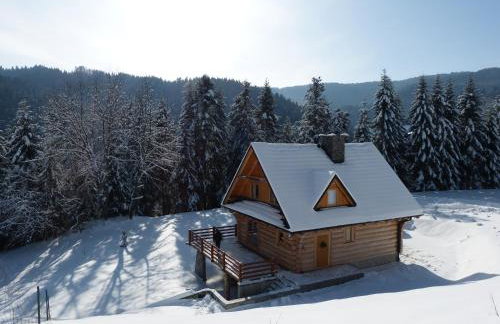 Chata na Kowalówkach - domek w górach - blisko szlaków i wyciągu - Foto 60