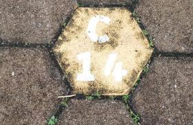 Paraíso da Enseada - Foto 17