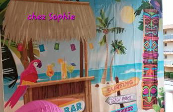 TOUT À PIED ! T3 FAMILIAL 150 m PLAGE LAVANDOU PISC PKG PRIV - Foto 18