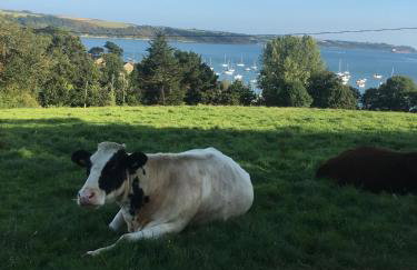 The Thatched Cottage - Photo 18