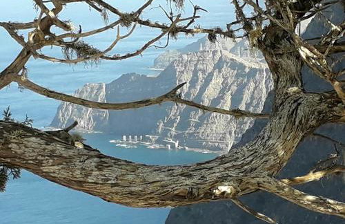 casa mariposa - Foto 21