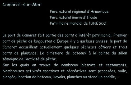 Cozy and welcoming, Pretty quiet holiday home, Crozon peninsula, Camaret-sur-mer - Foto 32