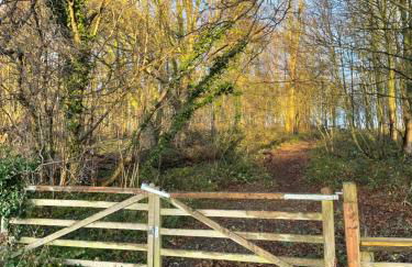 The Garden House - Photo 35