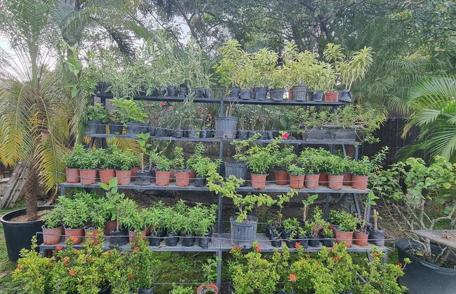 Quinta Pavo Real Complex by Acomodo - Photo 60