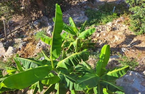 White Boutique Homes - Euphoria - Photo 27