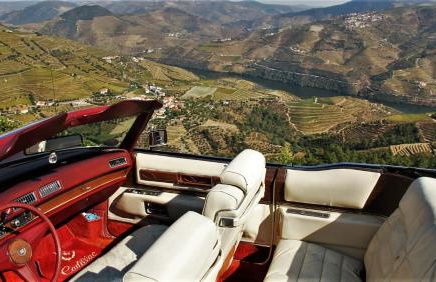 Refúgio Rústico - Exclusivo - Foto 31