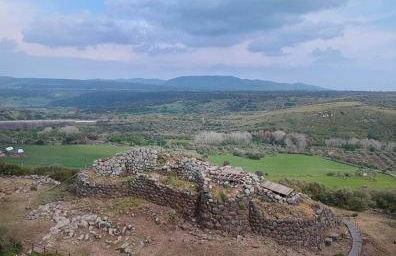 Home Green - Foto 38