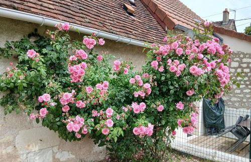 Gite Chambres d Hotes des Péguets - Foto 6