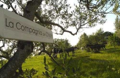 La Compagnia del Chianti - Foto 13