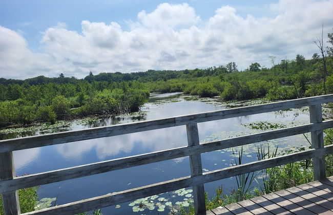 House in Gaski Near Baltic Lighthouse - Foto 34