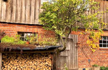 Gemütliches Studio-Apartment in Ostseenähe - Cosy Wulfi - Photo 22