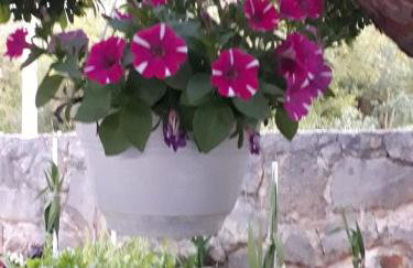 Kuća za odmor Neva - Foto 7