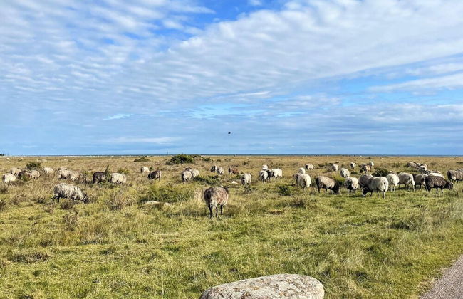 4 Star Holiday Home in Morbylanga - Foto 14