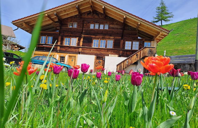 Chalet Grittelihus Near Interlaken, in a Natural Paradise - Photo 32