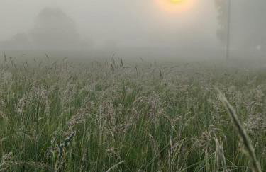 Stara Stolarnia - Foto 62