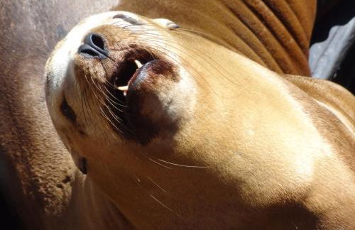 Avila Beach Retreat - Foto 18